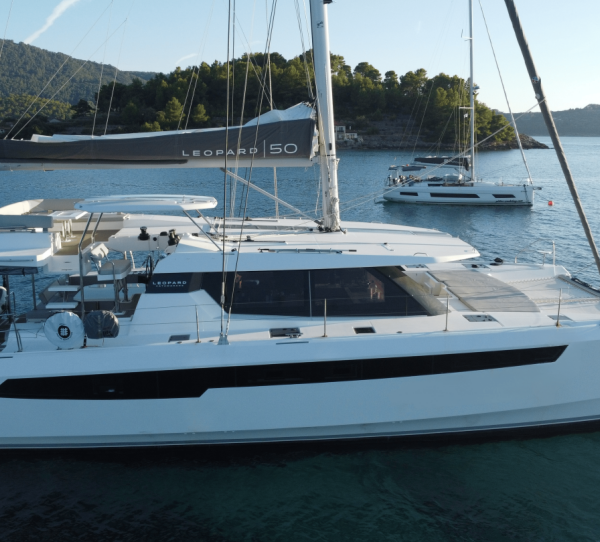 Leopard 50 Sonea